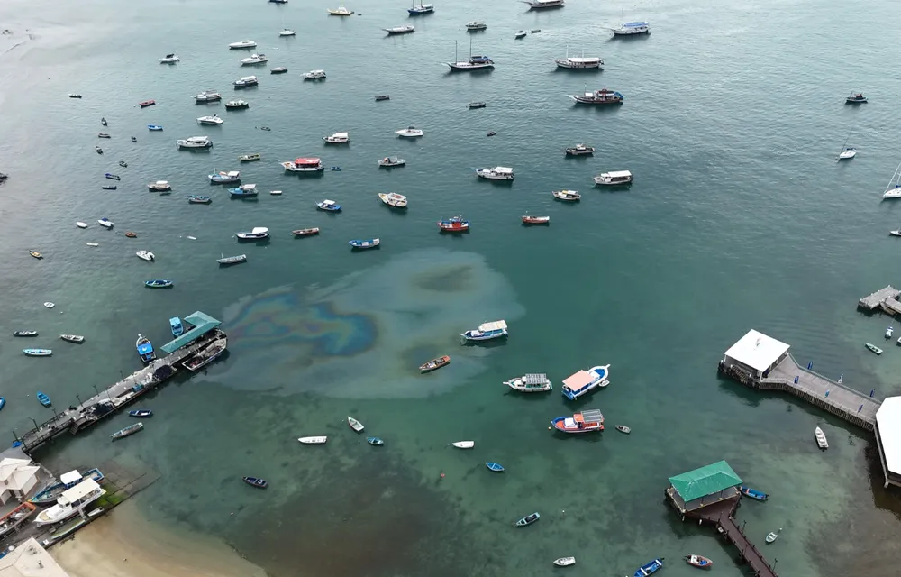 Vista aérea de marina e embarcações